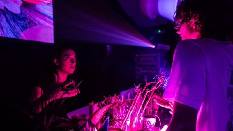 Licenciatura en Dise&ntilde;o Arte y Tecnologia