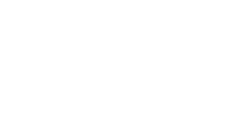 International Animation Festival