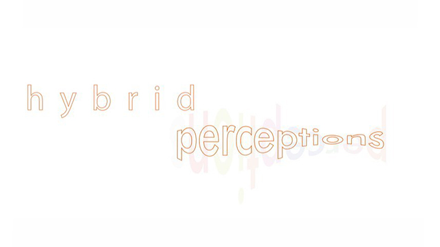 Hybrid Perceptions