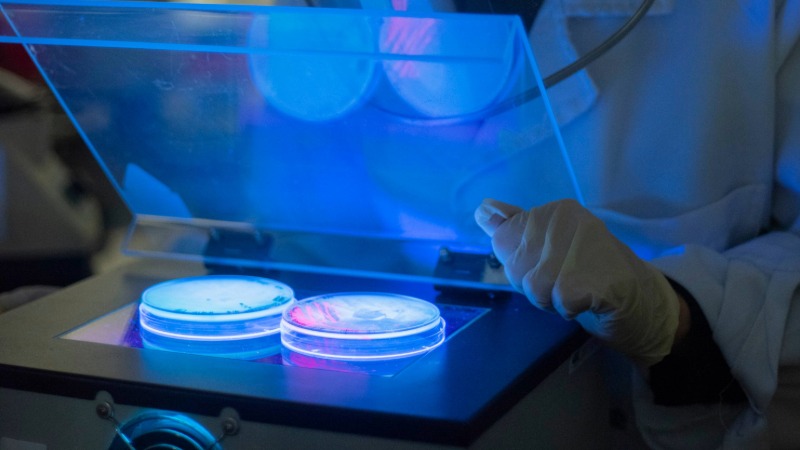 Proyectos de arte y biotecnolog&iacute;a