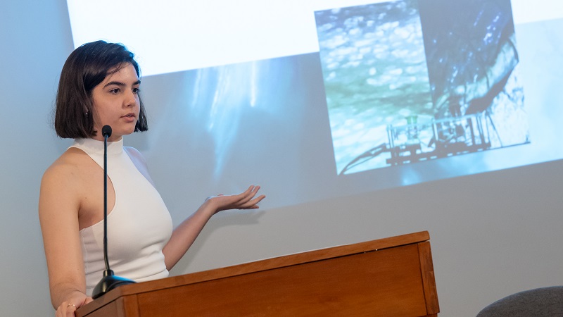 Presentaciones Re|creación 26