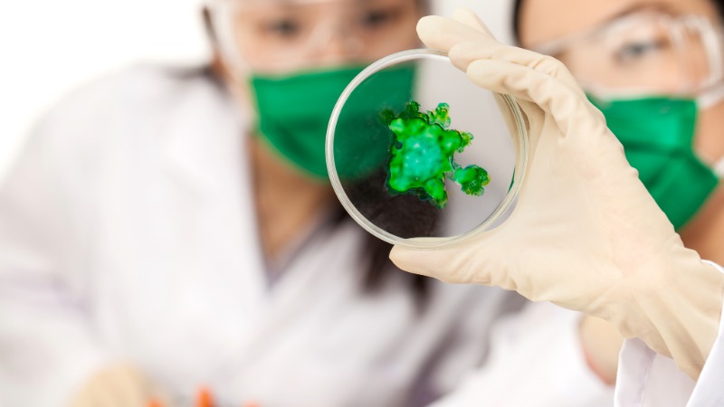 Cientificos trabajando en biomateriales