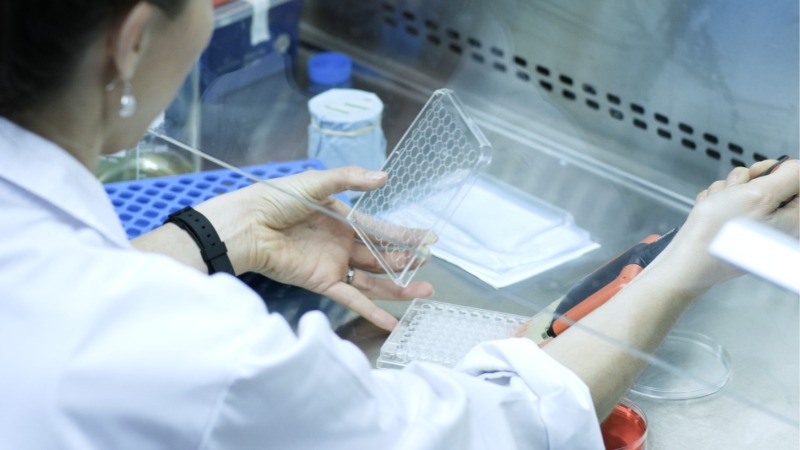 Laboratorio de innovaci&oacute;n