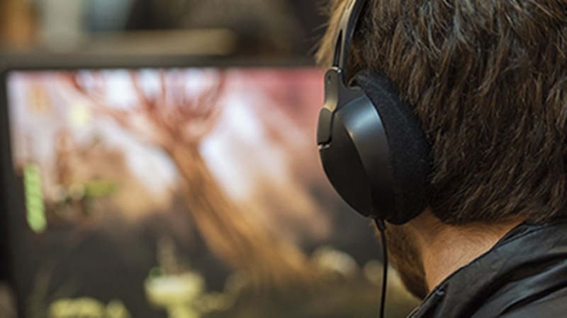 Licenciatura en Animación y Videojuegos