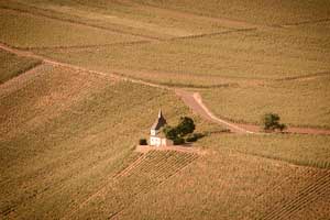 Bodega Bernhard Eifel. Licenciatura en Diseño Gráfico. Proyecto Integrador Recreación19