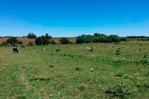 Diseñadores sin fronteras